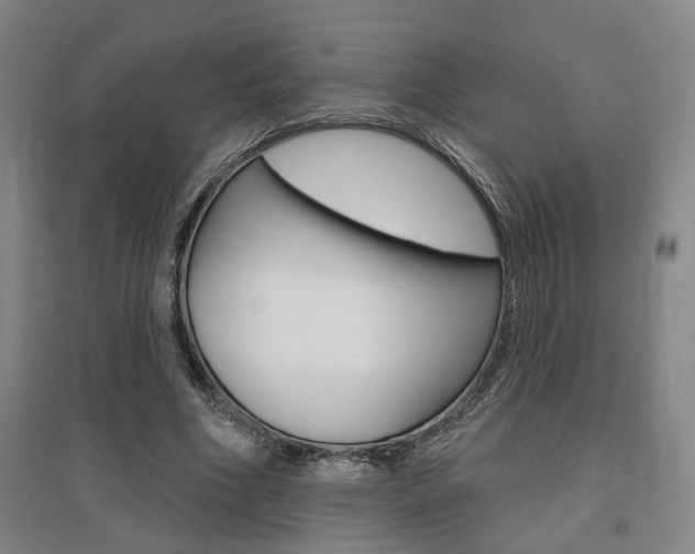 X0000095920586200801110857