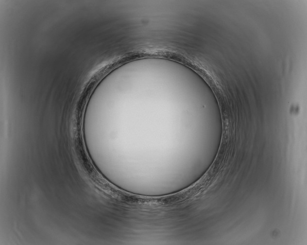 X0000095920587200801110857