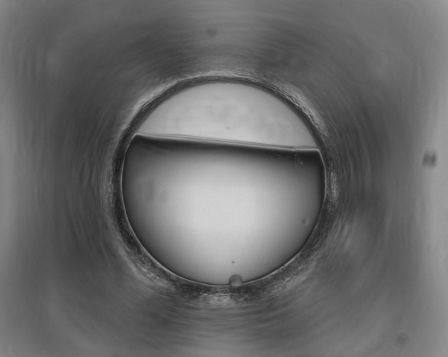 X0000095920588200801110857