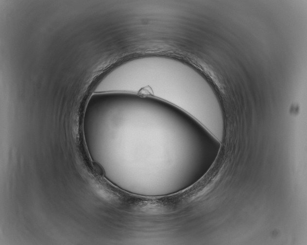 X0000095920589200801110857