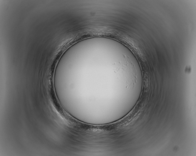 X0000095920590200801110857