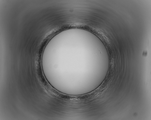 X0000095920591200801110857