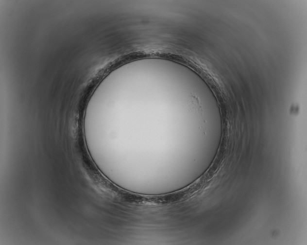 X0000095920592200801110857
