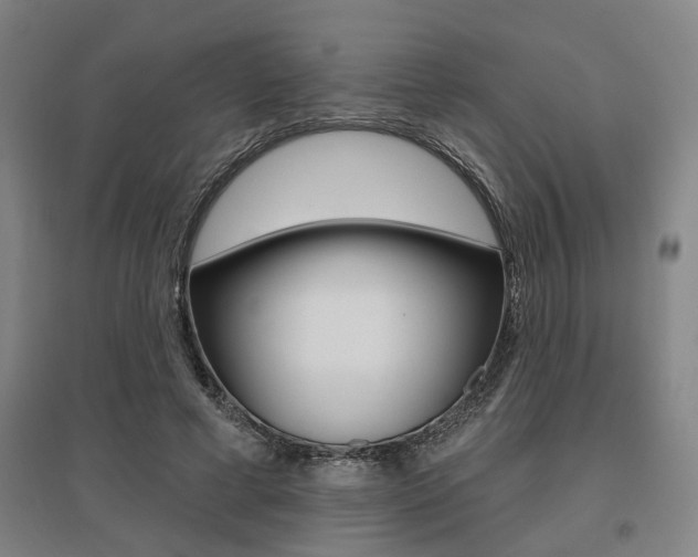 X0000095920593200801110857