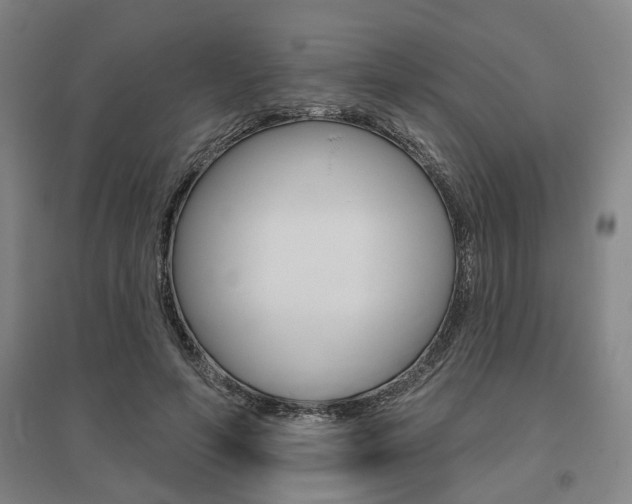 X0000095920594200801110857