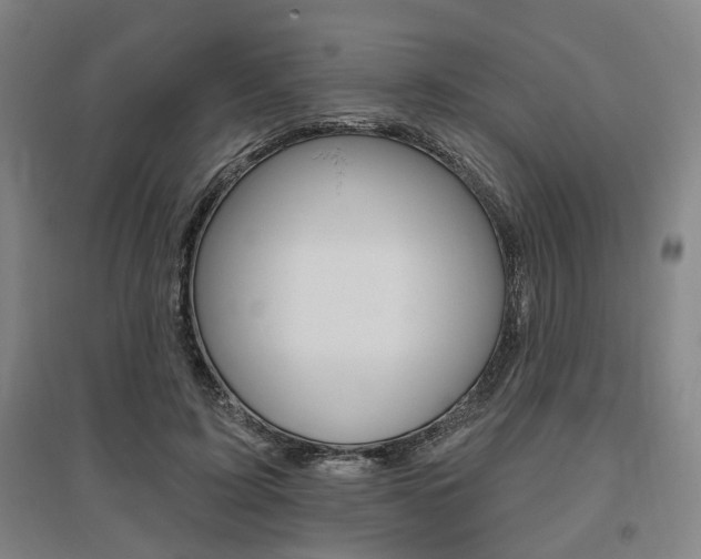 X0000095920595200801110857