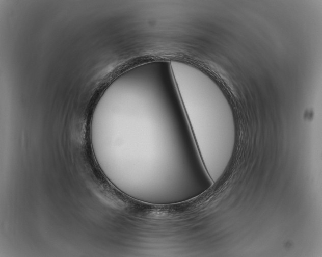 X0000095920596200801110857
