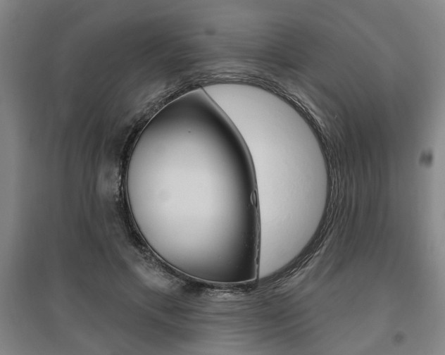 X0000095920597200801110857