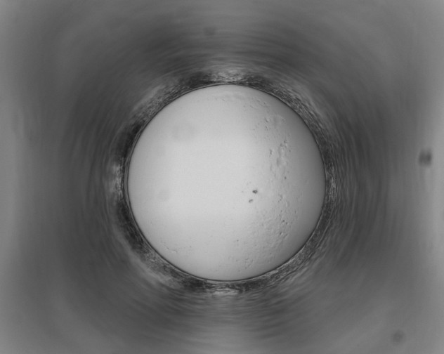 X0000095920598200801110857