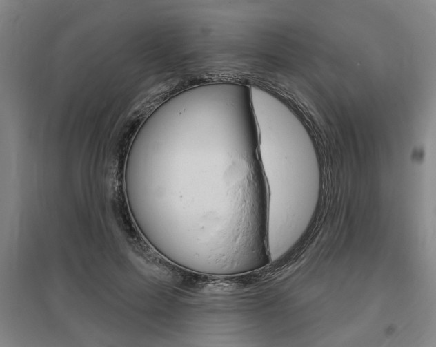 X0000095920599200801110857