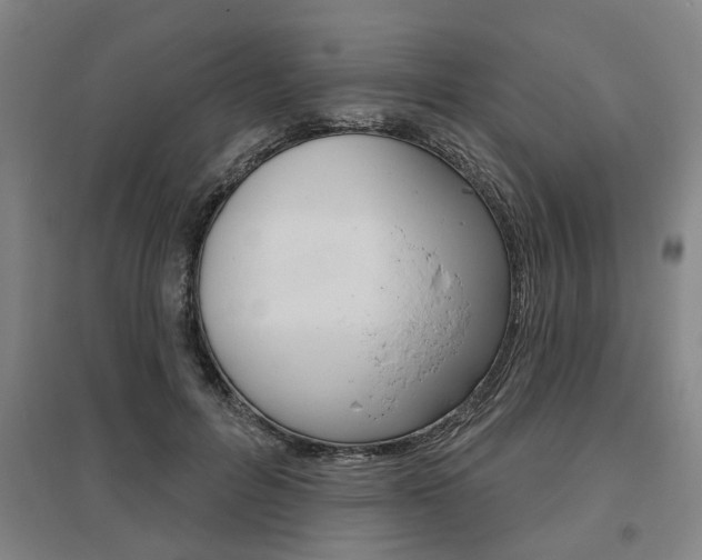 X0000095920600200801110857