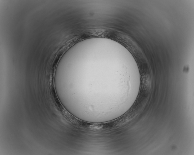 X0000095920602200801110857