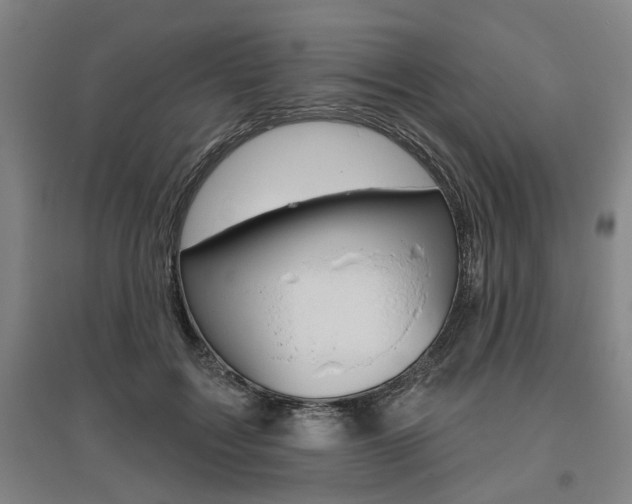 X0000095920603200801110857