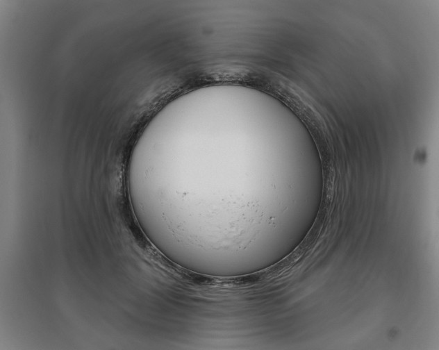 X0000095920604200801110857