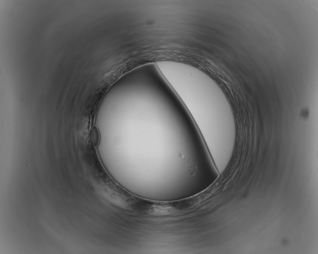 X0000095920605200801110857