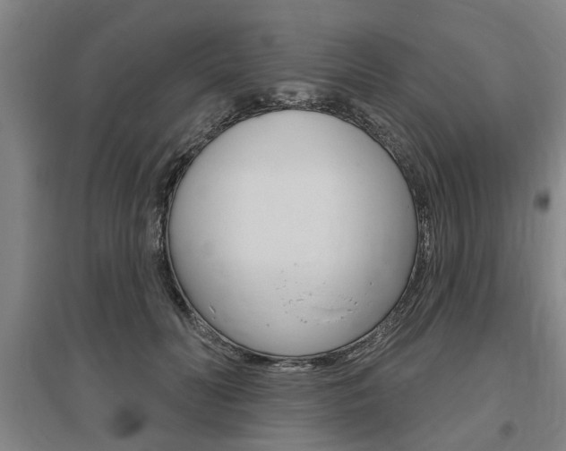 X0000095920606200801110856