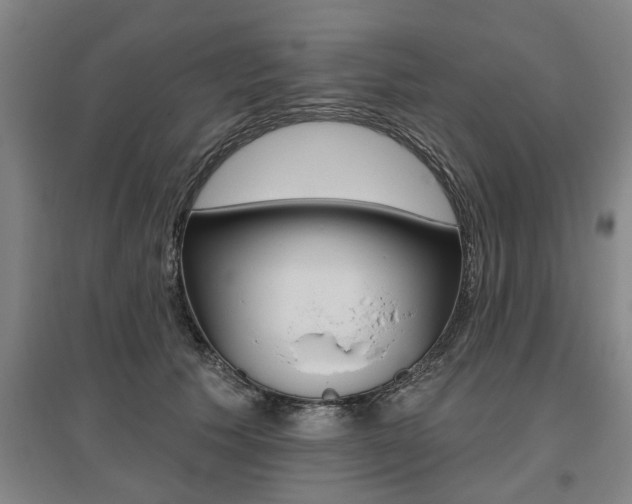 X0000095920609200801110856