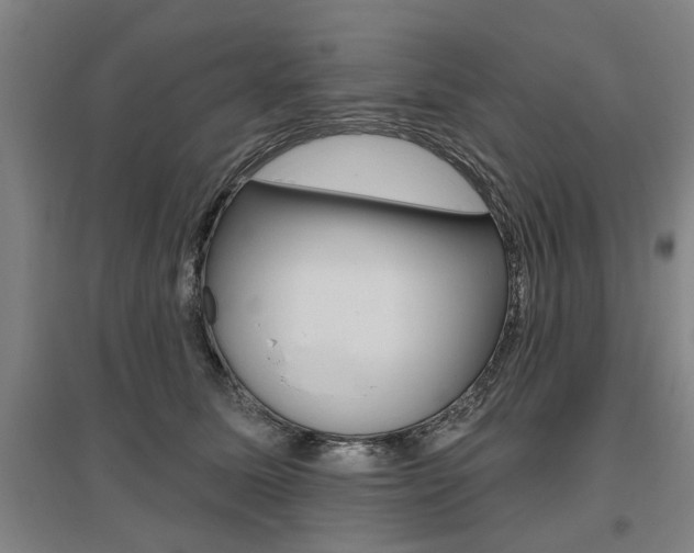 X0000095920611200801110856