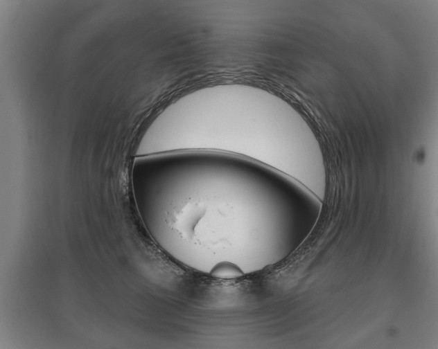 X0000095920613200801110856
