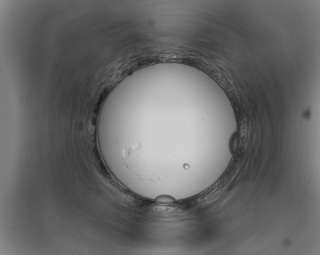 X0000095920614200801110856