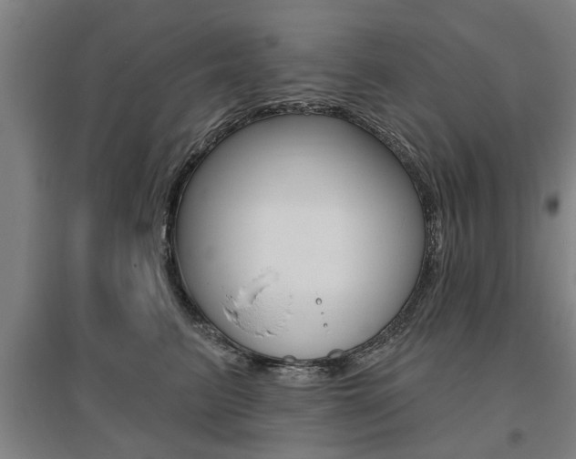 X0000095920615200801110856
