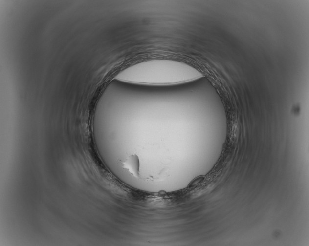 X0000095920616200801110856