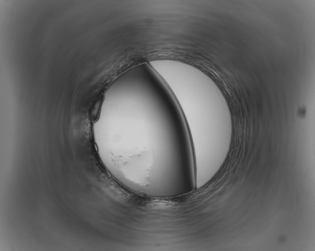 X0000095920617200801110856