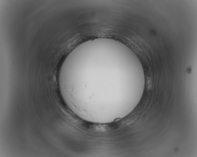 X0000095920618200801110856
