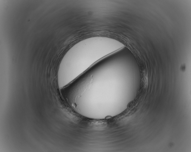 X0000095920619200801110856
