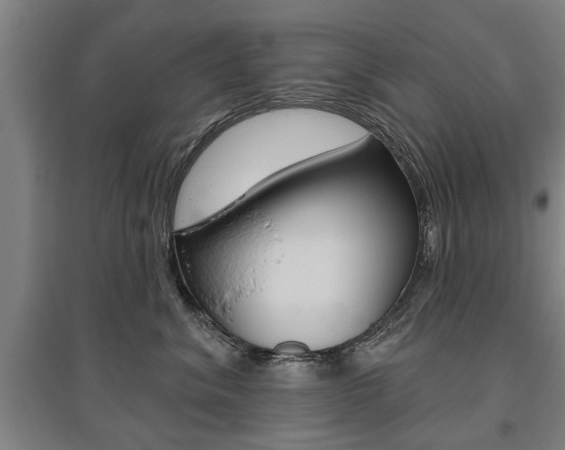 X0000095920620200801110856