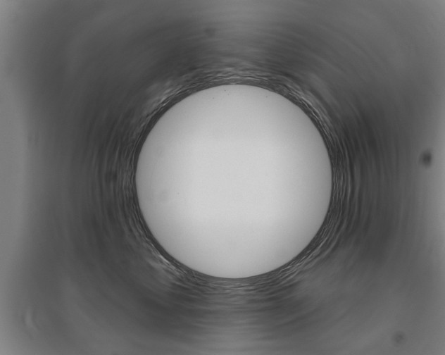 X0000095920621200801110856