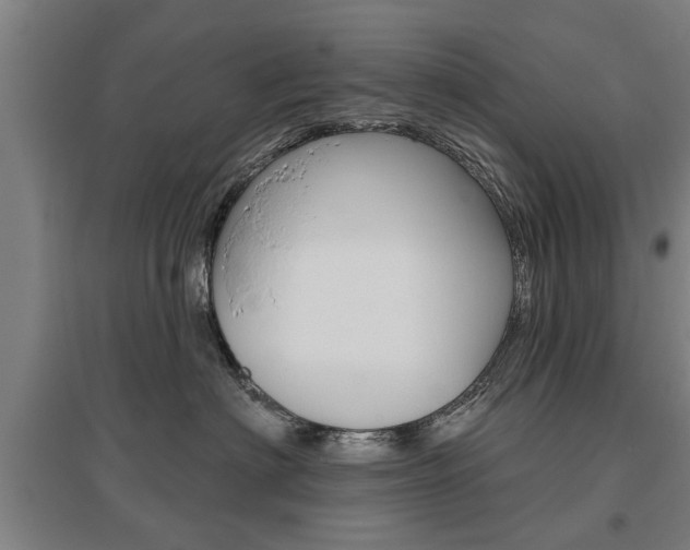 X0000095920622200801110856