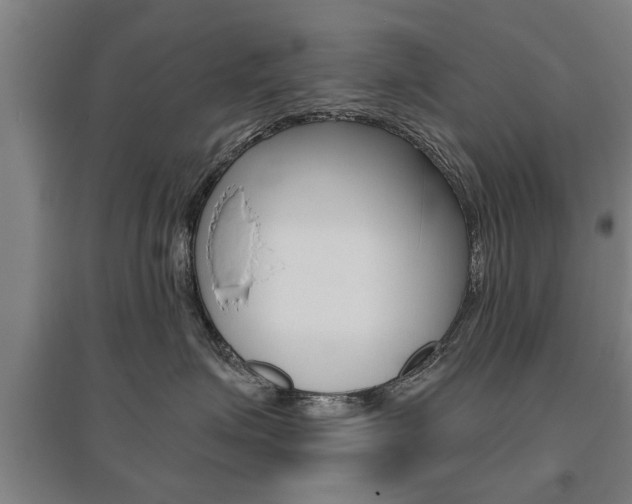 X0000095920623200801110856