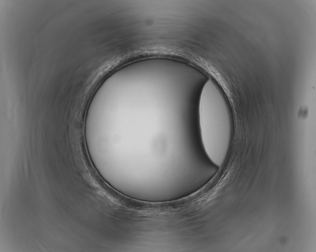 X0000095920625200801110856
