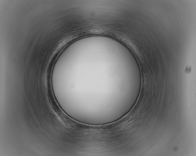 X0000095920626200801110856
