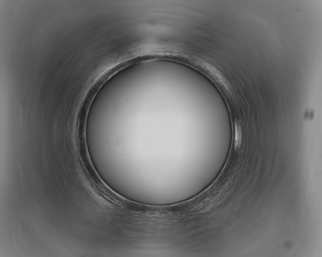 X0000095920627200801110856