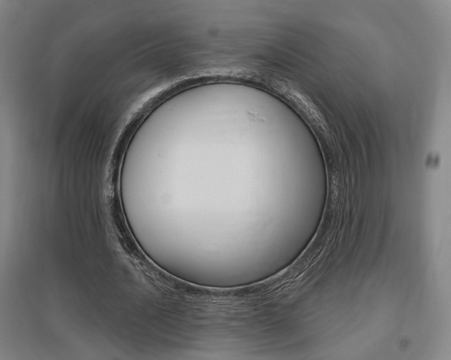 X0000095920628200801110856