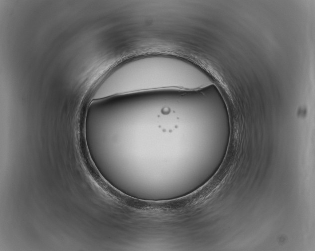 X0000095920629200801110856