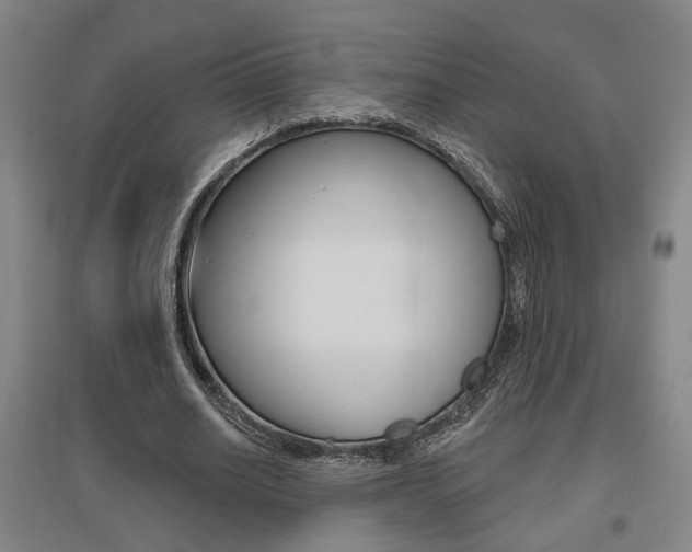 X0000095920630200801110856