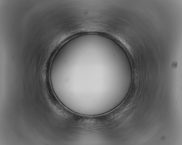 X0000095920631200801110856