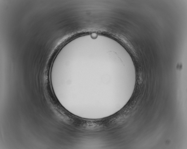 X0000095920632200801110856