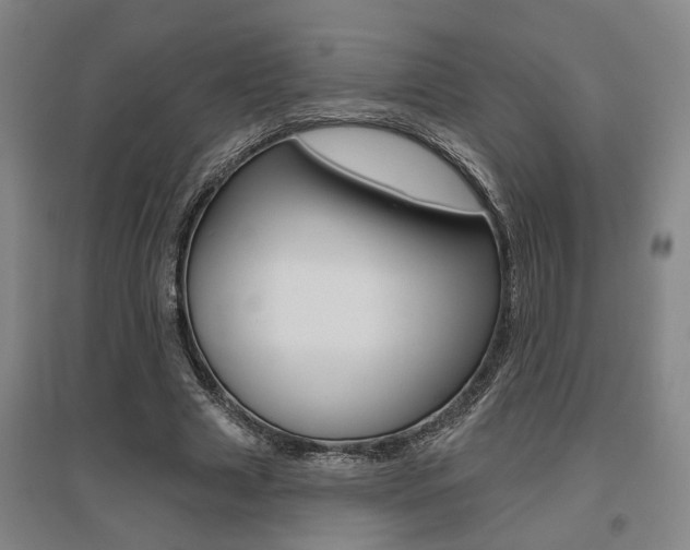 X0000095920633200801110856