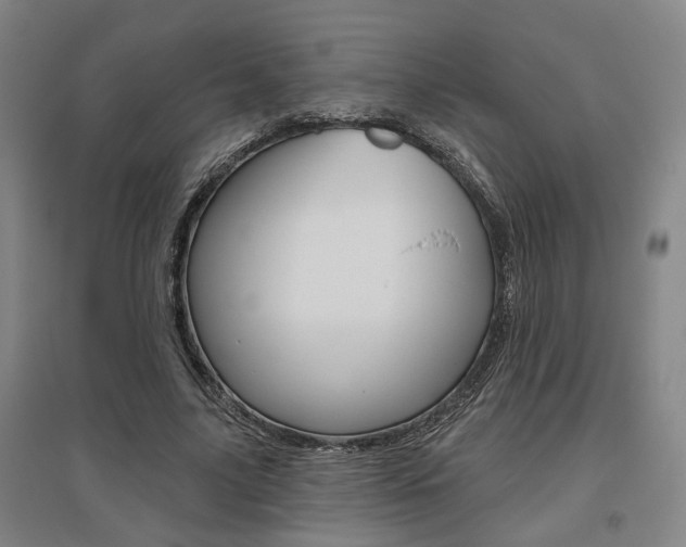 X0000095920635200801110856