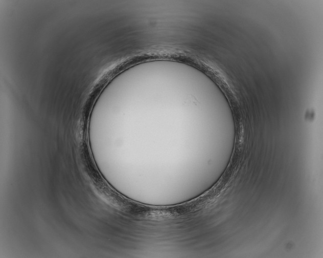 X0000095920636200801110856