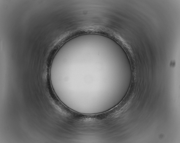 X0000095920637200801110856