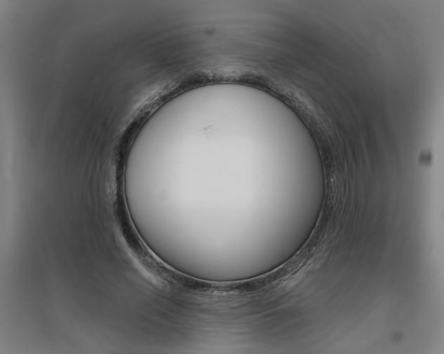 X0000095920638200801110856