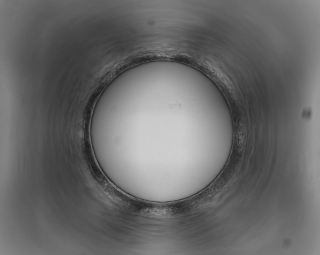 X0000095920639200801110856