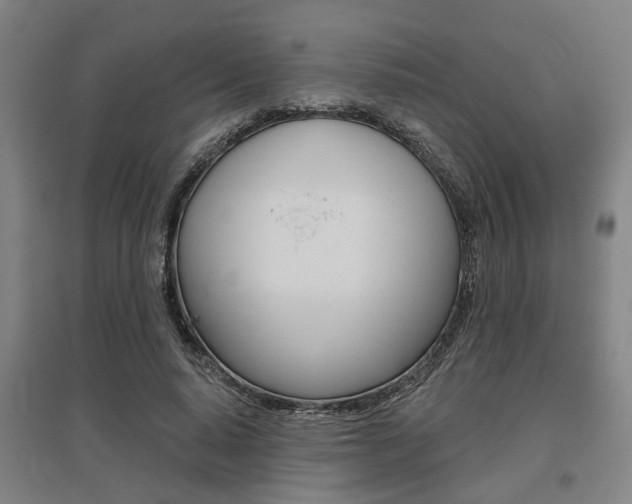 X0000095920640200801110856