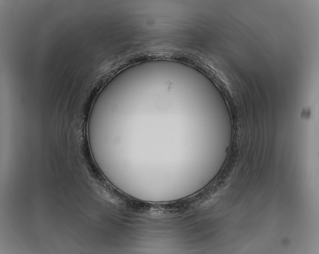 X0000095920641200801110856
