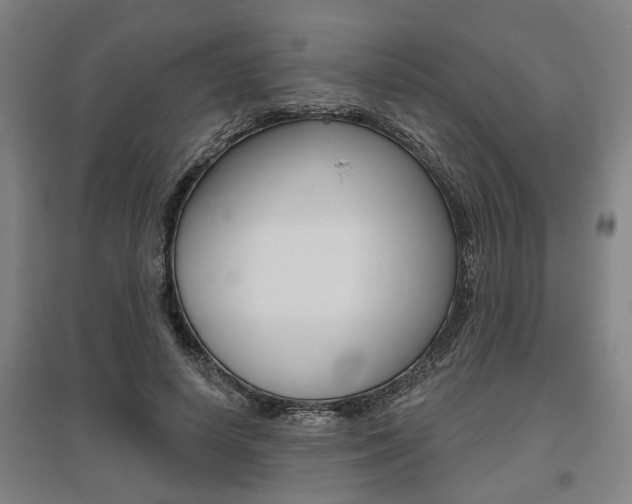 X0000095920642200801110856